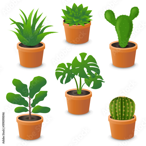 House Flower In Pot Collection