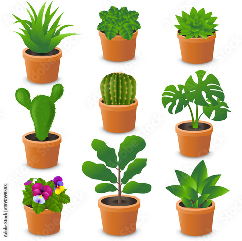 House Flower In Pot Big Set