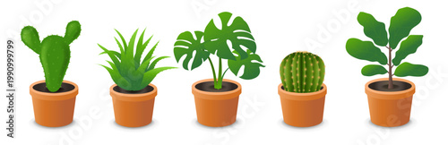 House Green Flowers Big Set