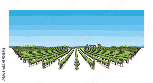 Expansive green vineyard rows curve gracefully toward a distant Mediterranean style villa with a tall tower under a vibrant and clear blue sky setting.