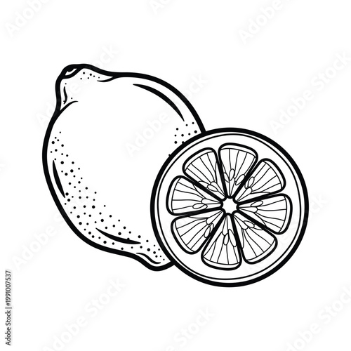 Lemon Citrus Fruit Slice Fresh Food Illustration