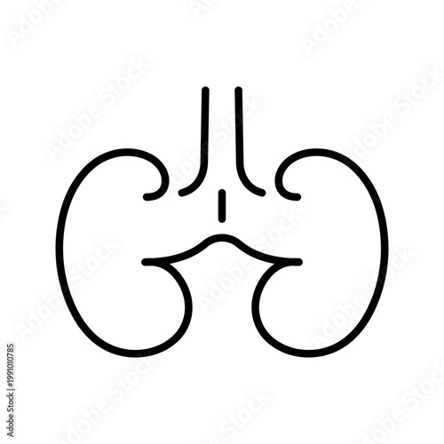 Human kidney icon. Healthcare and nephrology line symbol. Black and white.