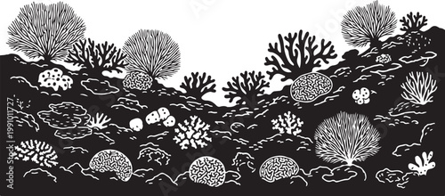 Coral reef, underwater scene, black and white illustration, vector sea life