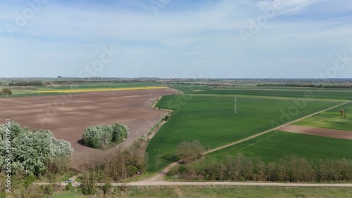 Yellow rapeseed field under dramatic cloudy sky aerial view