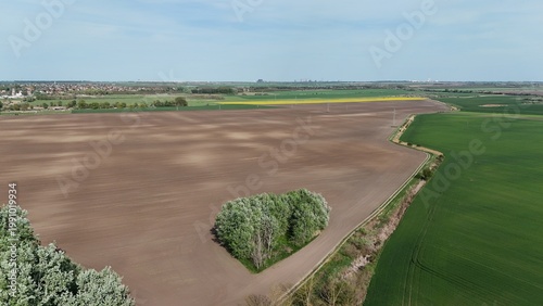 Yellow rapeseed field under dramatic cloudy sky aerial view
