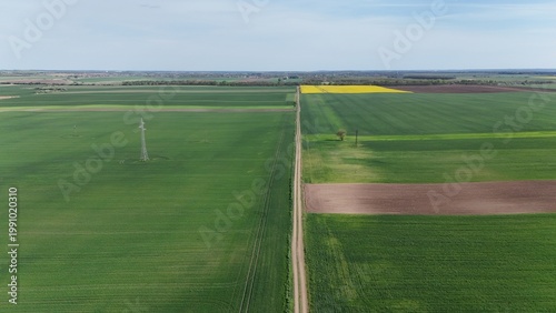 Yellow rapeseed field under dramatic cloudy sky aerial view