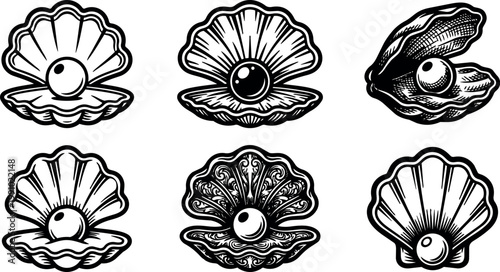Black and white vintage pearl oyster shell vector art collection