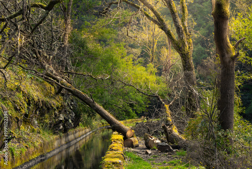 Walking Trail Between Lousã Village and Castle, Surrounded by Greenery and Water Channels in Portugal