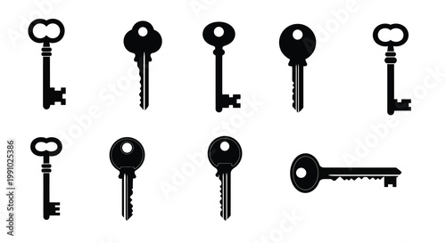 Collection of diverse black silhouette keys arranged in two rows