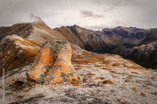 Lichen‑Covered Boulder and Mountain Ridges in Fiordland