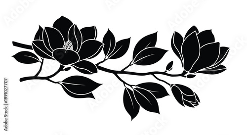 Black and white illustration of magnolia blossoms and foliage on a branch