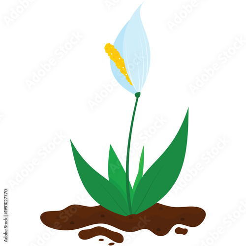 Blooming plant seedling in soil pile vector icon