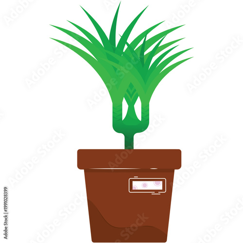 Pot plant palm tree flower vector icon isolated