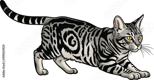 California Spangled Cat crouched alert stalking pose illustration