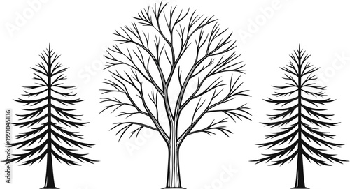 Black ink hand drawn winter trees with snow covered branches