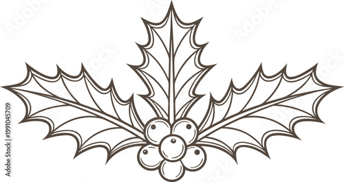 Black and white vintage of holly leaves and berries