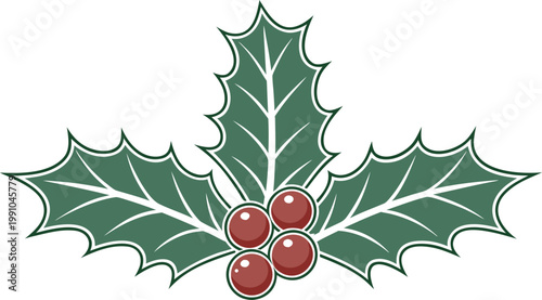 Glossy green holly leaves with bright red berries on white background