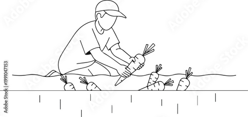 Vector illustration of a farmer harvesting fresh carrots from the soil.