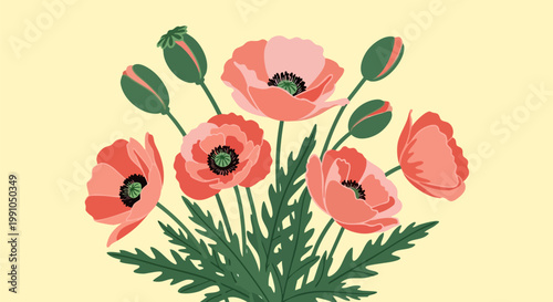 Vintage poppy flower bouquet vector illustration, blooming red poppies with green buds and leaves, retro floral botanical arrangement on cream background