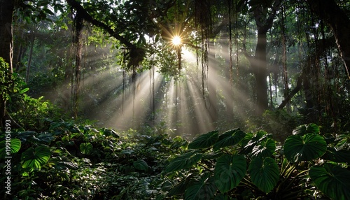 tropical forest with bright sun rays shining through dense foliage and mist, creating a lush and dramatic nature scene