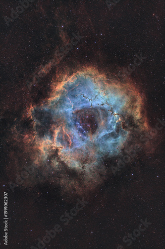 Astro photo of the Rosette Nebula in Hubble SHO Color palette