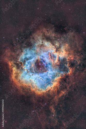 Astro photo of the Rosette Nebula in Hubble SHO Color palette