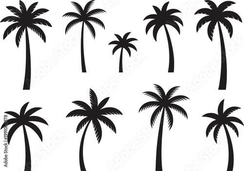 Black silhouette vector collection of tropical palm trees, summer beach plants, and exotic nature icons for vacation graphic design projects.