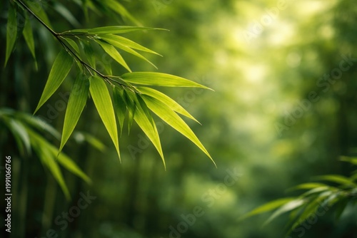 Bamboo leaves in focus with...