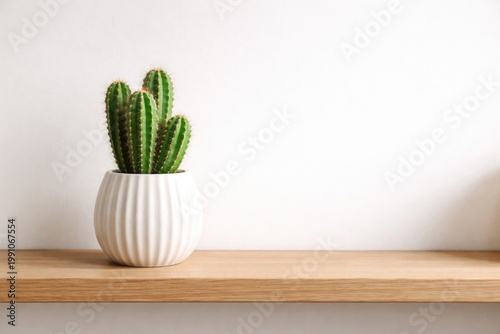 White vase with green cactu...