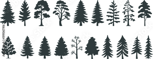 Forest tree silhouettes collection, evergreen pine spruce shapes, nature vector set, minimal flat design, woodland elements for logo, icon, illustration