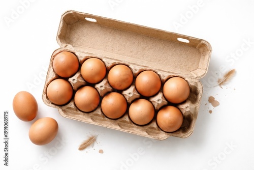 Top view of raw eggs set in...