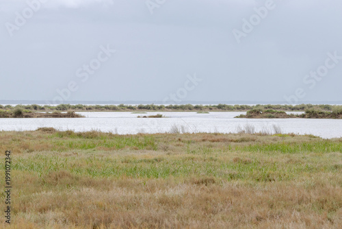 Tagus River estuary wetlands with marsh landscape