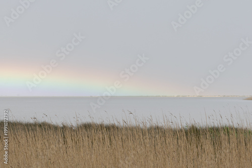 Rainbow appearing over Tagus River in Portugal with reeds