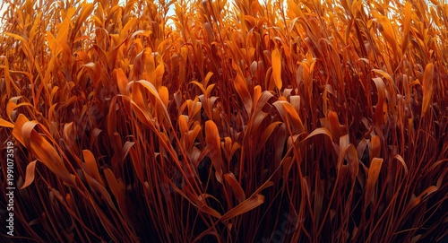 Vibrant dense kelp forest i...