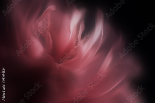 Dreamy and ethereal floral macro with delicate pink petals on a dark background.