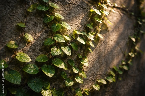 Sunlight highlighting green...