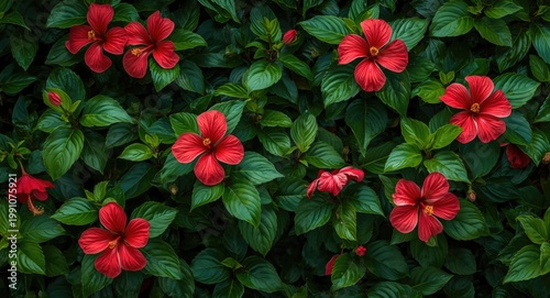 Vibrant green foliage mingl...