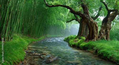tranquil forest stream flowing beneath lush willow trees in a serene green landscape with peaceful nature and fresh foliage