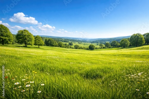 Scenic banner featuring vibrant green field and clear azure sky background