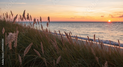 Sunset hues illuminate pamp...
