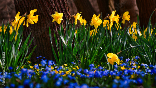 Kolory wiosny w Parku Centralnym w Olsztynie