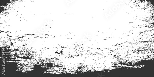 The stark monochrome view presents a fascinating play of textures, shapes, and contrasts. A closer examination unveils the intricate patterns and visual interest.