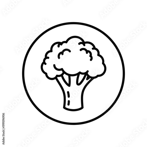 Outline broccoli head icon inside a circle for healthy diet and organic food industry branding applications