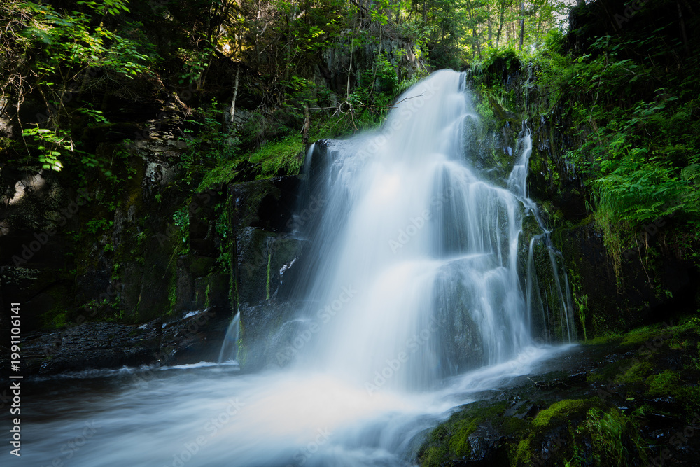 Obraz premium Waterfall in deep forest