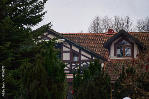 Cuadro en lienzo tudor facade peeking behind tall pines with steep tiled roof and decorative beam