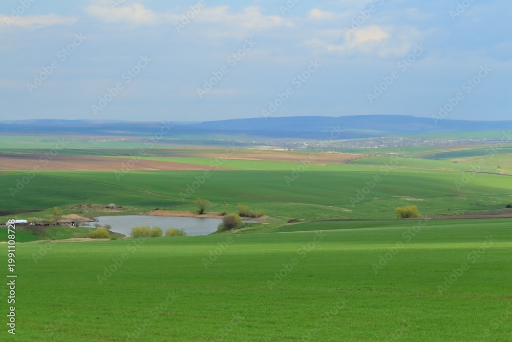 Naklejka premium A landscape with a river and mountains