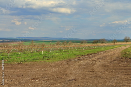 A dirt road with a fence and a field of grass and trees