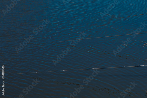 Fishing Rods Over Calm Blue Lake Water