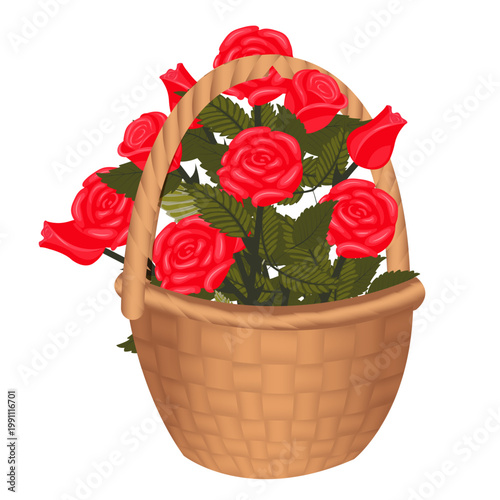 A bouquet of red roses in a wicker basket. Vector illustration isolated on a white background.