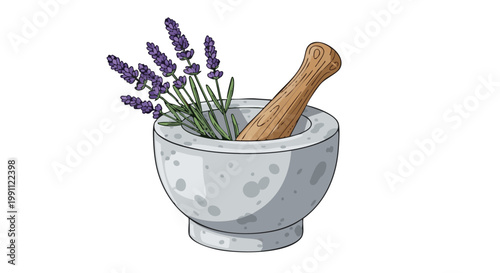 Lavender herbs and flowers in stone mortar with wooden pestle. Vector illustration for herbal medicine